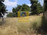 תמונת מגרש, קיפיסיה למכירה (4)