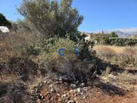 תמונת מגרש, אפוקורנס, כרתים למכירה (2)