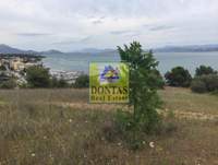 תמונת טנאגרה למכירה (2)