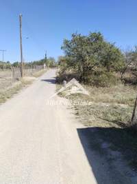 תמונת שטח חקלאי, פריאה, תרמיקוס, סלוניקי למכירה (1)