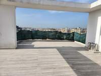 תמונת פאליו פאלירו למכירה (2)