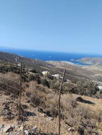 תמונת מגרש, אנדרוס למכירה (3)