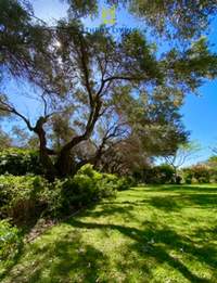 תמונת בית פרטי, נאה מאקרי, מרתון למכירה (1)