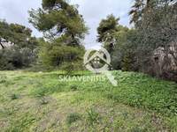 Image 11 of 15