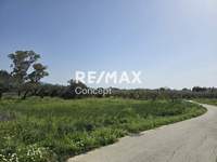 Image 7 of 14