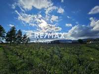 תמונת מגרש, זקינתוס למכירה (3)