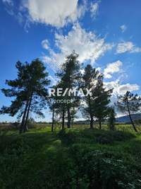 תמונת מגרש, זקינתוס למכירה (4)