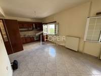 Image 10 of 25