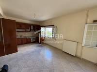 Image 15 of 25