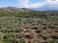 תמונת מגרש, אפוקורנס למכירה (1)