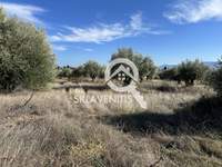 Tanagra, Euboea for sale