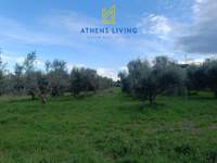 Messini, Peloponnese for sale