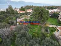 תמונת מגרש, איגאליאה, פלופונס למכירה (2)