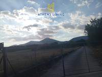 תמונת מגרש, קורופי, אתונה למכירה (4)