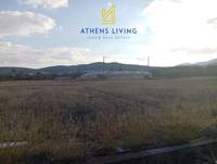 תמונת מגרש, קורופי, אתונה למכירה (2)