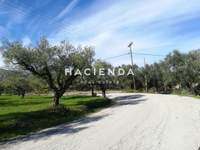 תמונת מגרש, זקינתוס למכירה (2)