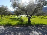 תמונת מגרש, זקינתוס למכירה (3)