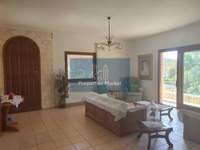 תמונת בית, סרוניקוס למכירה (3)