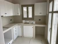 תמונת מיקונוס למכירה (3)