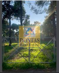 תמונת דיוניסוס, אתונה למכירה