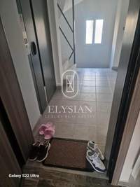 תמונת סטודיו, קורדליו - אבוסמוס למכירה (4)