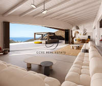 תמונת מיקונוס למכירה (3)