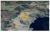 תמונת קימי-אליברי  למכירה