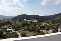 תמונת בית, אורופוס למכירה (4)