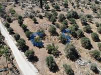 תמונת מגרש, אפוקורנס, כרתים למכירה (2)