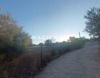 תמונת שטח חקלאי, ארמיונידה, פלופונס למכירה (4)