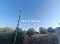 תמונת שטח חקלאי, ארמיונידה, פלופונס למכירה (2)