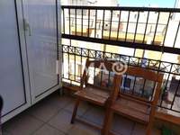 תמונת סטודיו, קורדליו - אבוסמוס למכירה (4)