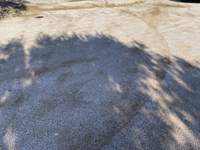 תמונת ספטה ארטמידה, אתונה למכירה (2)