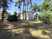 תמונת מגרש, דיוניסוס, אתונה למכירה (4)