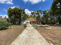 תמונת מגרש, דיוניסוס, אתונה למכירה (1)