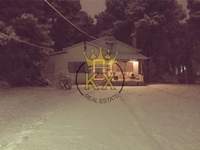 תמונת מגרש, דיוניסוס, אתונה למכירה (2)