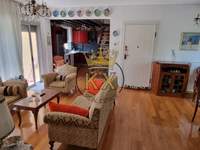 תמונת דירה, דיוניסוס למכירה (2)