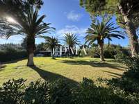 תמונת קסנדרה, כלקידיקי למכירה (3)