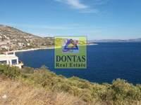 תמונת מגרש, מרתון למכירה (2)