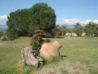 Image 7 of 25