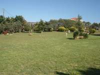 Image 9 of 25