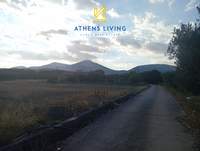 תמונת מגרש, קורופי למכירה (3)