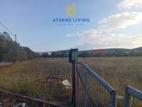 תמונת מגרש, קורופי למכירה (1)