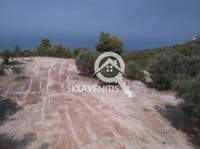 תמונת שטח חקלאי, רשות מקומית לפקדה למכירה (3)