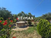 תמונת מגרש, רשות מקומית זקינתוס למכירה (3)