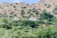 תמונת דירה, אפוקורנס למכירה (3)