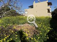 תמונת מגרש, ספטה ארטמידה, אתונה למכירה (3)
