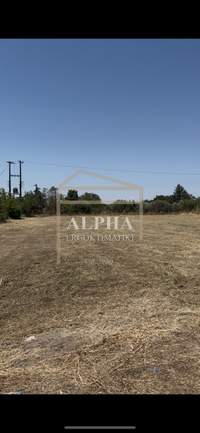Image 11 of 14
