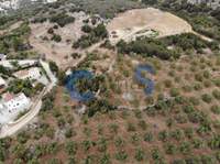 תמונת מגרש, אפוקורנס, כרתים למכירה (1)