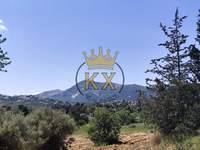 תמונת בית, דיוניסוס, אתונה למכירה (3)